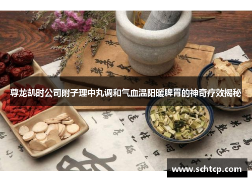 尊龙凯时公司附子理中丸调和气血温阳暖脾胃的神奇疗效揭秘 尊龙凯时公司附子理中丸调和气血温阳暖脾胃的神奇疗效揭秘