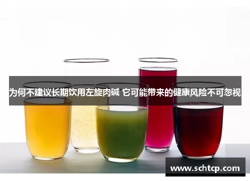 为何不建议长期饮用左旋肉碱 它可能带来的健康风险不可忽视 为何不建议长期饮用左旋肉碱 它可能带来的健康风险不可忽视
