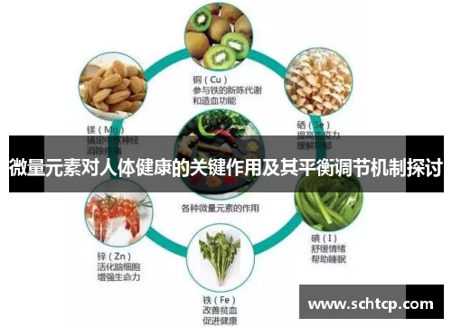 微量元素对人体健康的关键作用及其平衡调节机制探讨