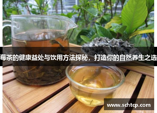莓茶的健康益处与饮用方法探秘，打造你的自然养生之选