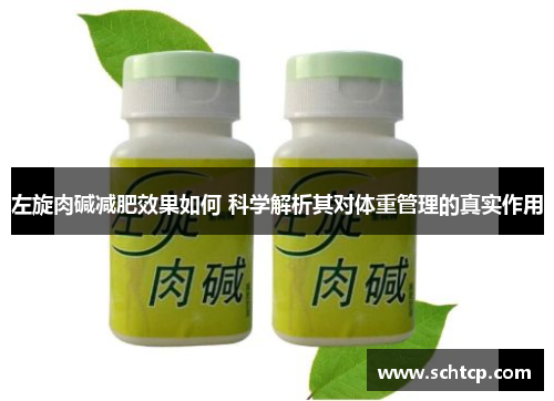 左旋肉碱减肥效果如何 科学解析其对体重管理的真实作用 左旋肉碱减肥效果如何 科学解析其对体重管理的真实作用