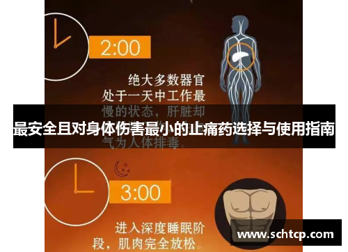 最安全且对身体伤害最小的止痛药选择与使用指南