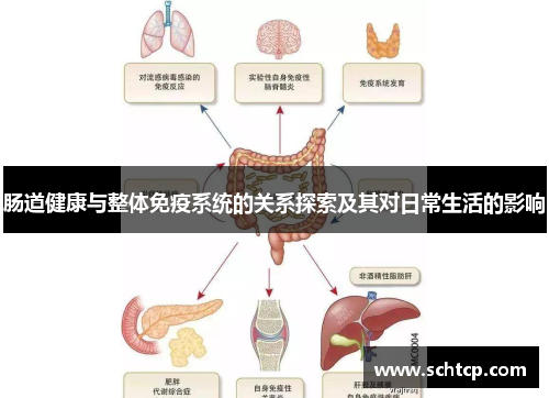 肠道健康与整体免疫系统的关系探索及其对日常生活的影响 肠道健康与整体免疫系统的关系探索及其对日常生活的影响